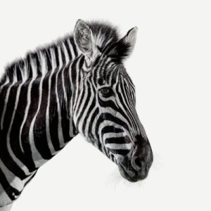 Investec Personal Loan